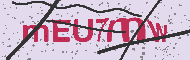 Güvenlik Kodu